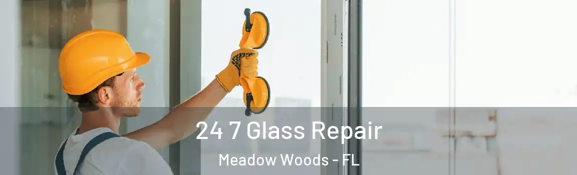  24 7 Glass Repair Meadow Woods - FL