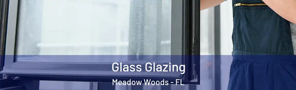  Glass Glazing Meadow Woods - FL
