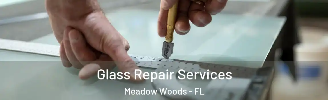 Glass Repair Services Meadow Woods - FL