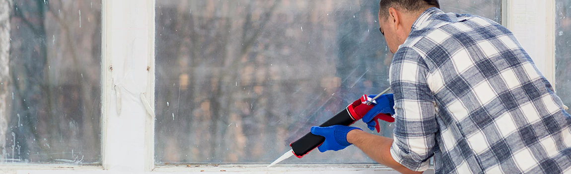 Foggy Window Repair Services in Meadow Woods, FL
