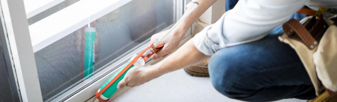 Emergency Window Replacement Services in Meadow Woods