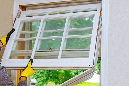 Window Replacement in Meadow Woods
