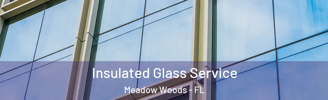  Insulated Glass Service Meadow Woods - FL