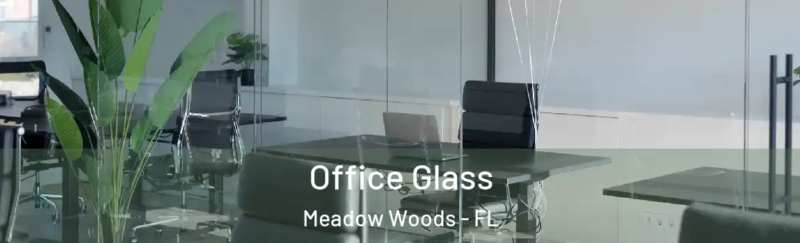  Office Glass Meadow Woods - FL