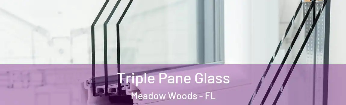 Triple Pane Glass Meadow Woods - FL