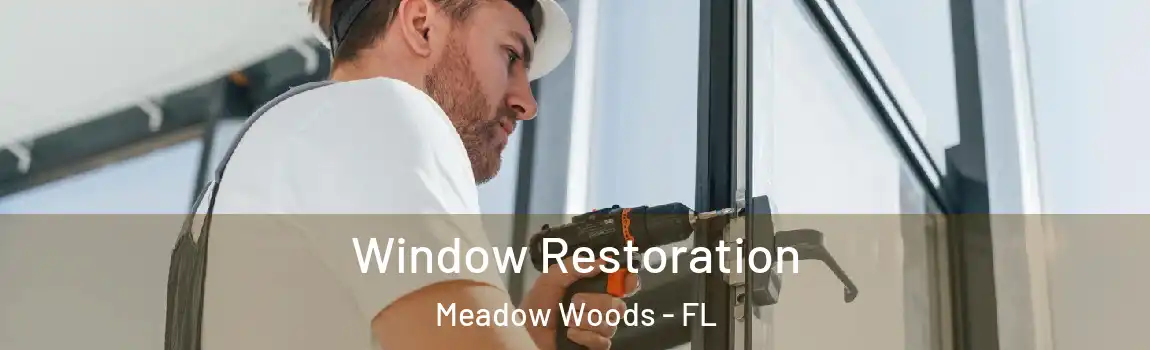  Window Restoration Meadow Woods - FL