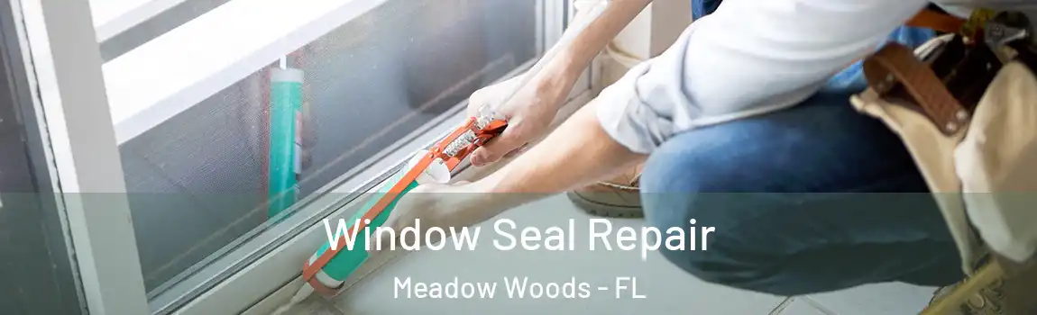  Window Seal Repair Meadow Woods - FL